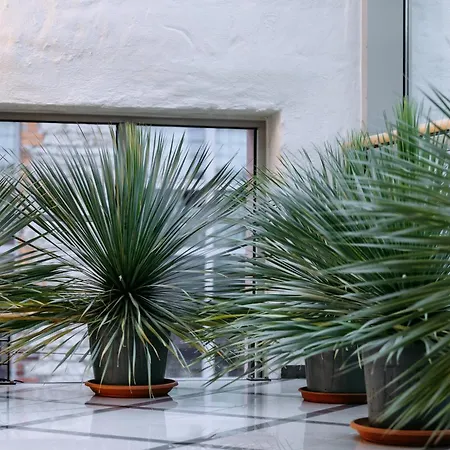 Hestia Ilmarine Hotel